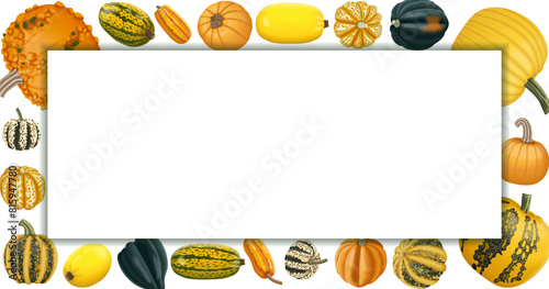 Rectangular banner with types of winter squash. Cucurbita pepo. Fruits and vegetables. Isolated vector illustration. Horizontal template.