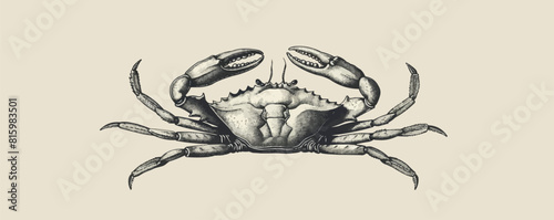 Cute crab hand drawn engraving style sketch. vector simple illustration