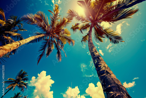 Looking up at blue sky and palm trees, view from below, vintage style, tropical beach and summer background, travel concept