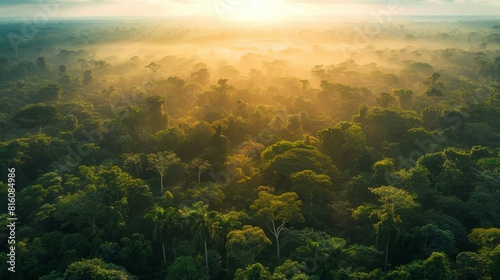 Jungle landscape in a wide angle and sunrise in high resolution photography