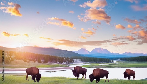 scenic view of yellowstone national park with bison during sunrise or sunset in landscape comic style