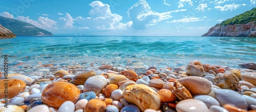 Rocky and shell-strewn beach shore
