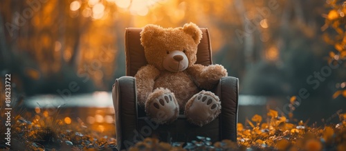 Teddy bear sitting on chair in woods