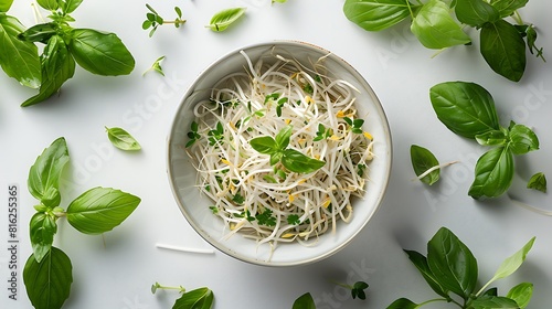 Fresh presentation of Beef pho with bean sprouts and herbs, food studio photography