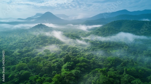 Aerial view of the dense rainforest canopy with a misty atmosphere