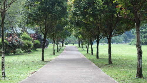 A straight walking or running path in the garden or park with tall green trees next to the path