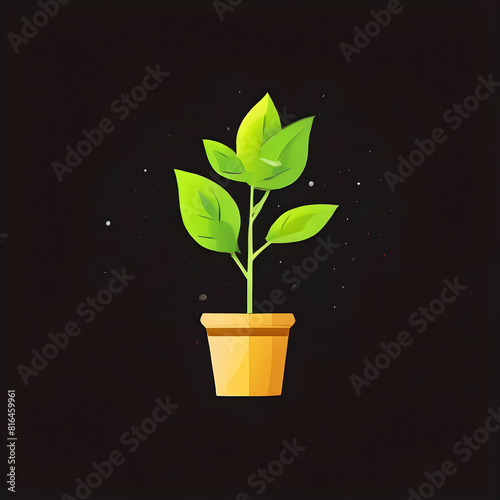 plant in a pot and black background ,growth and success concept 