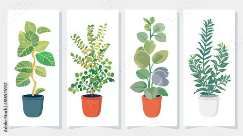 Four of vertical banner templates with plants growing