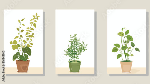 Four of vertical banner templates with plants growing