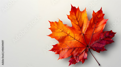 Vibrant Maple Leaf in Autumn Colors 3D Flat Cartoon Illustration with Lobed Shape and Red, Orange, Yellow Hues Seasonal Botanical Concept on White Background