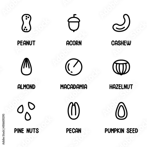 Nuts and seed icons set. Plant based diet ingredients, non-dairy milk symbols. Peanut, Acorn, Cashew, Almond, Macadamia, Hazelnut, Pecan, Pine Nut, Pumpkin Seed. Stickers. Vector Linear style