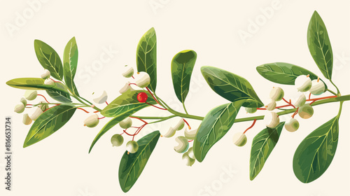 Pretty mistletoe branch with decoration Vector style