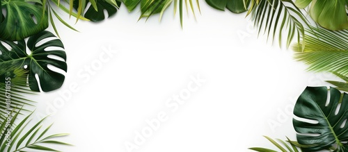 A top view of a floral card featuring a tropical green palm monstera leaves and branch pattern frame on a white background with copy space image
