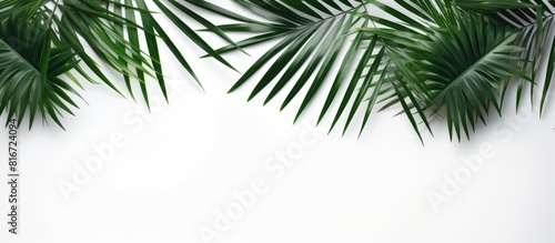 A tropical summer concept with a top view of flat laid palm leaves on a white background providing ample copy space for creative use