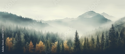 A vintage retro hipster style displays a misty autumn landscape on a foggy mountain with a fir forest offering copy space as a seasonal fall background