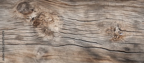 A textured background with a pattern of old gray bark and dried brown wood providing a space for text or images. Copyspace image
