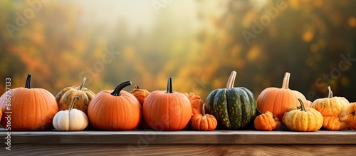 pumpkins on wooden table outdoor. copy space available