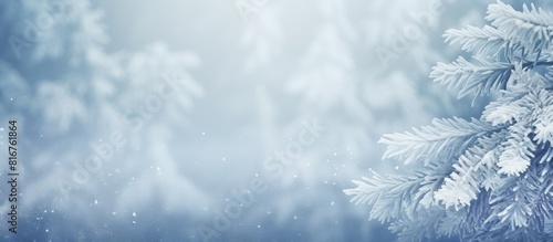 Green spruce branches covered with fresh white snow Copy space background