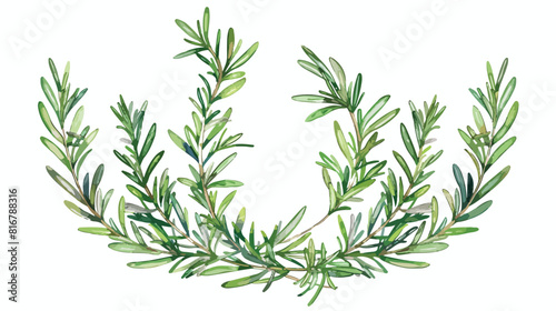 Round natural backdrop or wreath made of rosemary han