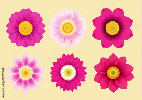 a bunch of different colored flowers on a yellow background