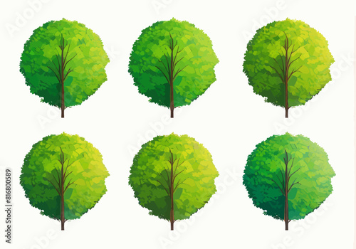 a set of six different trees with green leaves