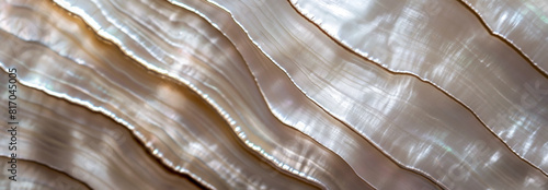 Abstract Mother of Pearl Background: Elegant Iridescent Shell Textures with Wavy Lines and Shimmering Pearlescent Patterns - Close-Up