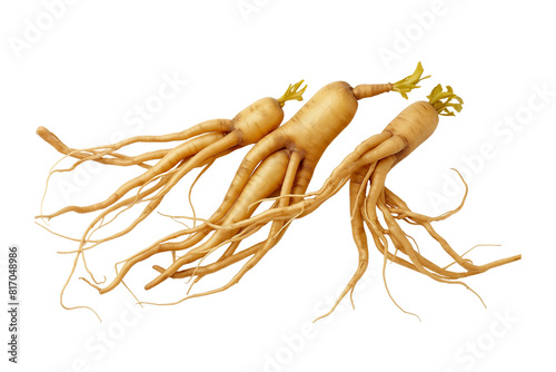 Three ginseng korea on transparent background. Three long, skinny, orange roots with a white stem. The roots are curled and twisted, giving them a unique appearance. Generative ai illustration.