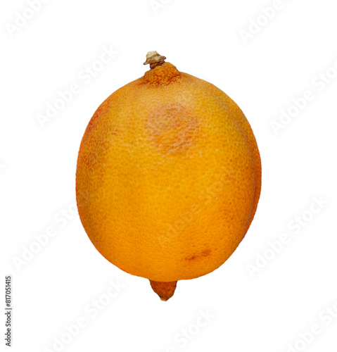 Lemon going bad isolated on white background