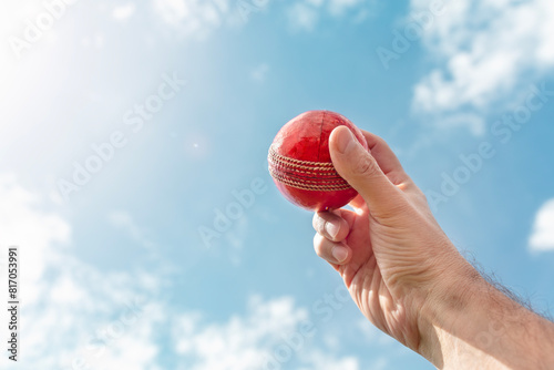 Cricket bowler bowling with ball in hand
