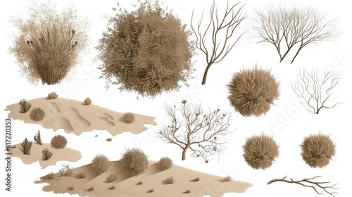 Detailed botanical illustrations of tumbleweeds and wild grasses - perfect for vintage and rustic themes.