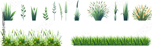 Green grass seamless border. Bunch of spring grass. Realistic meadow . Green field. Spring botanical elements . Tufts of gardens plants .Lawn grass. Bunch of wheat