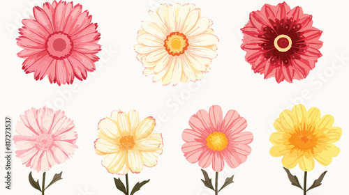 Set of hand drawn white pink yellow and red gerbera