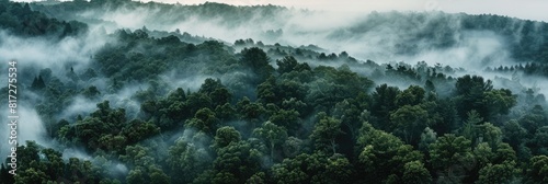 Forest Wallpaper: Aerial View of Misty Morning Forest with Mountain Silhouettes