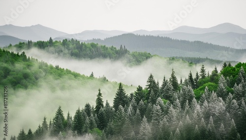 green landscape of foggy forest winter hill wild nature frozen misty taiga horizontal watercolor background