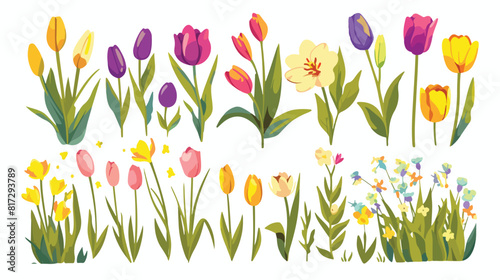 Spring floral tulip bundles of different widths set