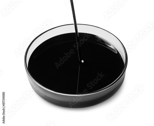 Pouring black crude oil into Petri dish on white background