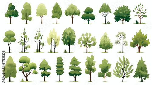 Trees set. Abstract forest plants in modern style.