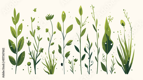 Vector cartoon abstract green plant icon. Wild mead