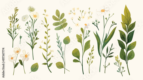 Vector cartoon abstract green plants flower herbs i
