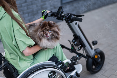 A woman in a wheelchair with a hand-control assist device carries a Spitz merle dog. Electric handbike. 