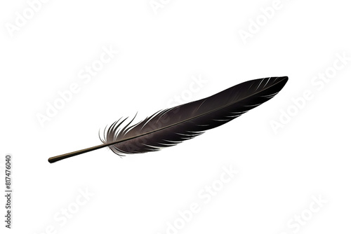 Elegant black quill pen for traditional writing experiences.