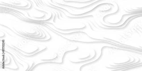 Abstract topography concept white papercut design or flowing liquid illustration for website template. Abstract paper cut white background