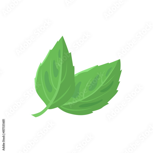 Mint leaf icon. Vector flat simple illustration of green mint leaves.