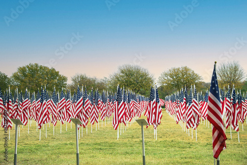 Field of American flags displayed on the honor of Veterans Day celebration 