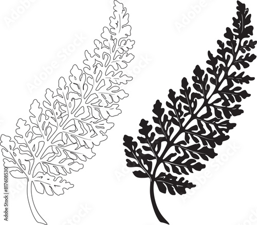 Silver fern leaves silhouette vector design handmade 