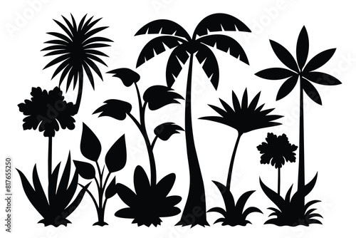 Set of jungle plants black Silhouette Design with white Background and Vector Illustration