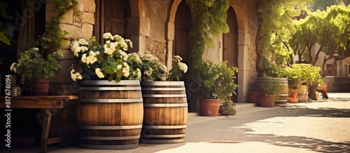 A charming vintage winery with large wooden barrels providing an inviting ambiance and plenty of copy space for captivating images