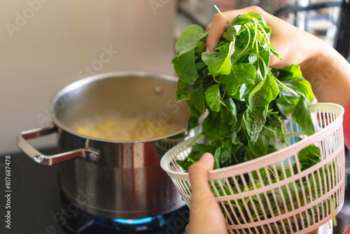 A woman is blanching or cooking spinach in a pot on a stove. She is holding a basket of spinach in her hand, home cooking concept