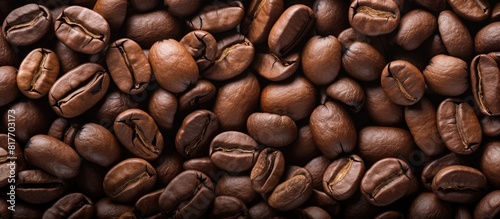 A close up image of coffee beans with plenty of copy space