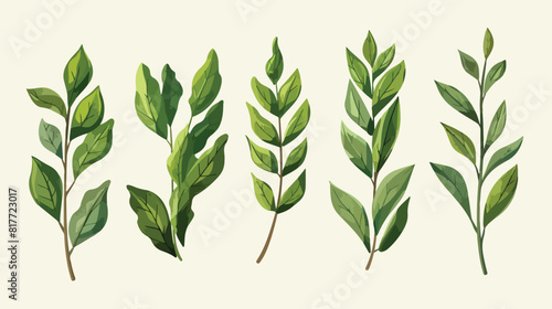 set of laurel leafs Vector style vector design illustration